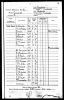 1901 New South Wales, Australia Census extract
